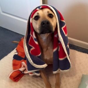 Meet your Posher, Kathy